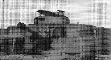 zav-2.jpg